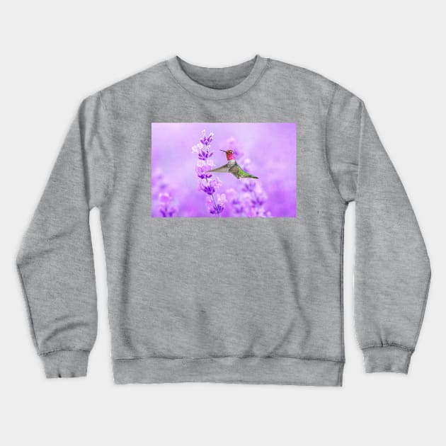 Anna's Hummingbird at Lavender Sprig Crewneck Sweatshirt by lauradyoung